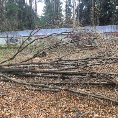 Orezavanie konarov a zrezavanie stromov-ProRoof
